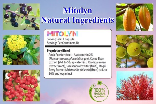 Mitolyn Ingredients