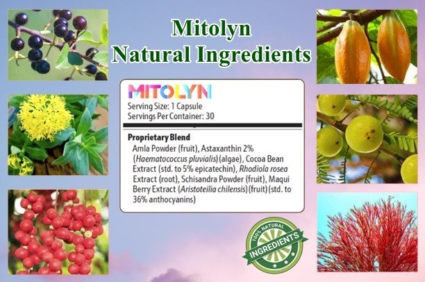 Mitolyn Ingredients